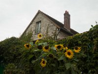 DSC_0777 Maison et Jardin de Claude Monet: Clos Normand (Giverny, France) -- 30 August 2014