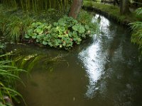 DSC_0744 Maison et Jardin de Claude Monet: Japanese Garden (Giverny, France) -- 30 August 2014