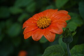 DSC_0747 null