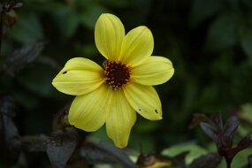 DSC_0755 null