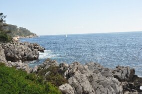 DSC_1044 null