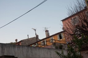 DSC_5244 null