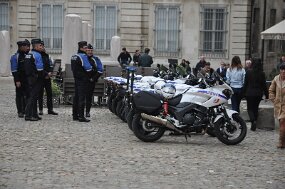 DSC_3768 null