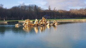 20241226_110632 null