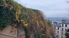 20241224_145725 null