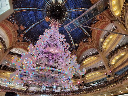 Paris (Dec 24) Paris (December 2024)