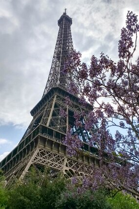 2017-04-22 07.46.05 null