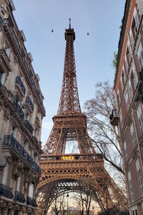 20241227_084424 null