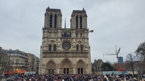 20241225_154446 null