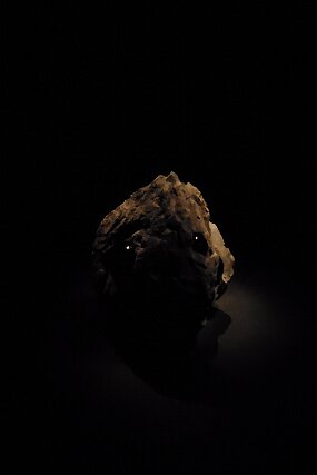 20241228_130916 null