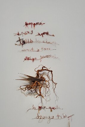 20241228_131559 null