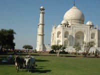 DSC_6001 A visit to the Taj Mahal (Agra, India) -- 8 March 2007