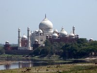 DSC_5891 A visit to the Taj Mahal (Agra, India) -- 8 March 2007