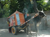 DSC_6032 Delhi & New Delhi