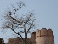 DSC_6382 Jaipur