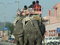 DSC_6491 Jaipur