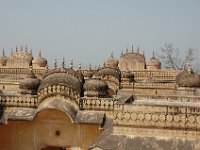 DSC_6421 Jaipur