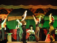 DSC_2607 Dinner and Flamenco show at El Palacio Andaluz (Seville, Spain) -- 2 January 2014