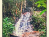 20141230_160707_HDR-EFFECTS A visit to Mae Kampong Waterfalls (Chiang Mai, Thailand) -- 30 December 2014