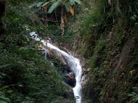 DSC_6636.NEF A visit to Mae Kampong Waterfalls (Chiang Mai, Thailand) -- 30 December 2014