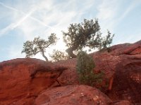 DSC_4011 Chapel of the Holy Cross -- A trip to Sedona, AZ (6 November 2016)