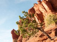 DSC_4012 Chapel of the Holy Cross -- A trip to Sedona, AZ (6 November 2016)