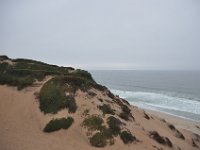 DSC_5467 Marina State Beach, CA (3 Sep 11)