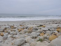 DSC_5371 Along The 17 Mile Drive -- Pebble Beach, CA (3 Sep 11)