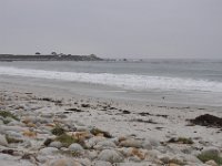 DSC_5373 Along The 17 Mile Drive -- Pebble Beach, CA (3 Sep 11)