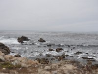 DSC_5381 Along The 17 Mile Drive -- Pebble Beach, CA (3 Sep 11)