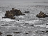 DSC_5383 Along The 17 Mile Drive -- Pebble Beach, CA (3 Sep 11)