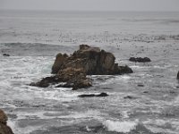 DSC_5384 Along The 17 Mile Drive -- Pebble Beach, CA (3 Sep 11)