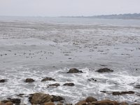 DSC_5388 Along The 17 Mile Drive -- Pebble Beach, CA (3 Sep 11)