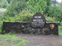 DSC_3806 A visit to Muir Woods National Monument (Mill Valley, CA) -- 29 March 2014