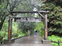 DSC_3809 A visit to Muir Woods National Monument (Mill Valley, CA) -- 29 March 2014