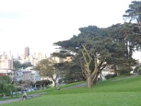 DSC_3995 Alamo Square (San Francisco, CA) -- 30 March 2014