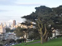 DSC_3996 Alamo Square (San Francisco, CA) -- 30 March 2014