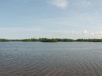 DSC_3227_stitch J.N. Ding Darling National Wildlife Refuge -- Sanibel Island & Captiva Island (8 October 2016)