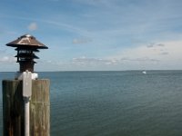 DSC_3251 Jensen's Marina Captiva Islands -- Sanibel Island & Captiva Island (8 October 2016)