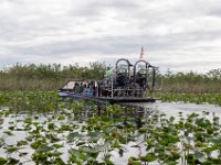 DSC_3610 Everglades Holiday Park - 28-Nov-20