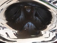 DSC_4305 Cloud Gate - AKA 