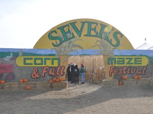 Sever's Corn Maze (29 Oct 11)