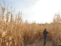 DSC_5607 Follow the Leader -- Sever's Corn Maze, Shakopee, MN