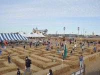 DSC_5610 The Real Maze :-) -- Sever's Corn Maze, Shakopee, MN