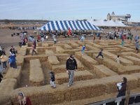 DSC_5611 The Real Maze :-) -- Sever's Corn Maze, Shakopee, MN