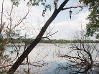 DSC_7944 A visit to Lake Nokomis -- 28 June 2015