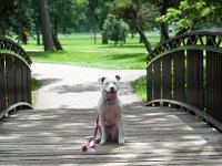 DSC_7950-001 A visit to Lake Nokomis -- 28 June 2015