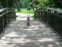 DSC_7951-001 A visit to Lake Nokomis -- 28 June 2015