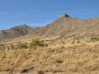 DSC_5044 Las Cruces, NM