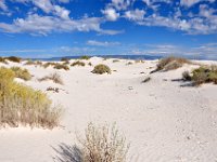 DSC_3618 White Sands National Monument, Alamogordo, NM (20 October 2012)